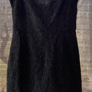 Elegant Green Banana Republic Lace Dress